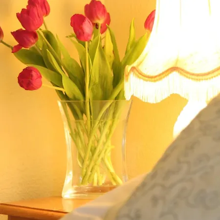 Guest house Arkleside Country Guest House Reeth