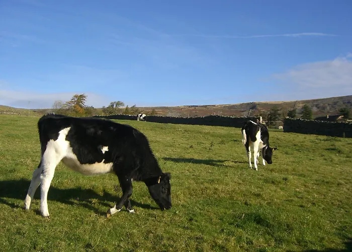 게스트하우스 Arkleside Country